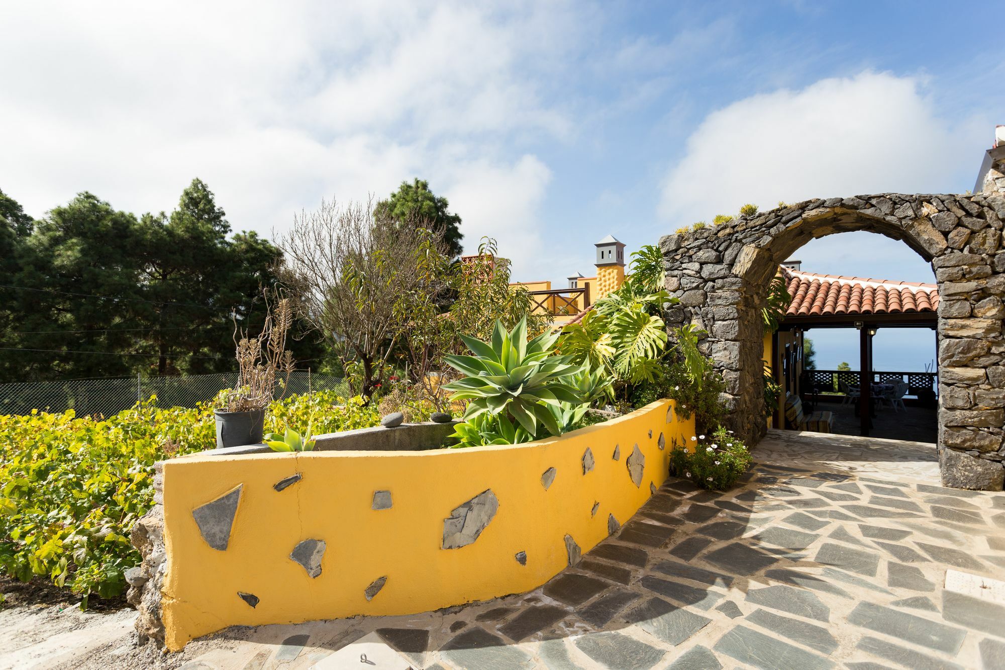 Finca Casa Yaya イコー・デ・ロス・ビノス エクステリア 写真