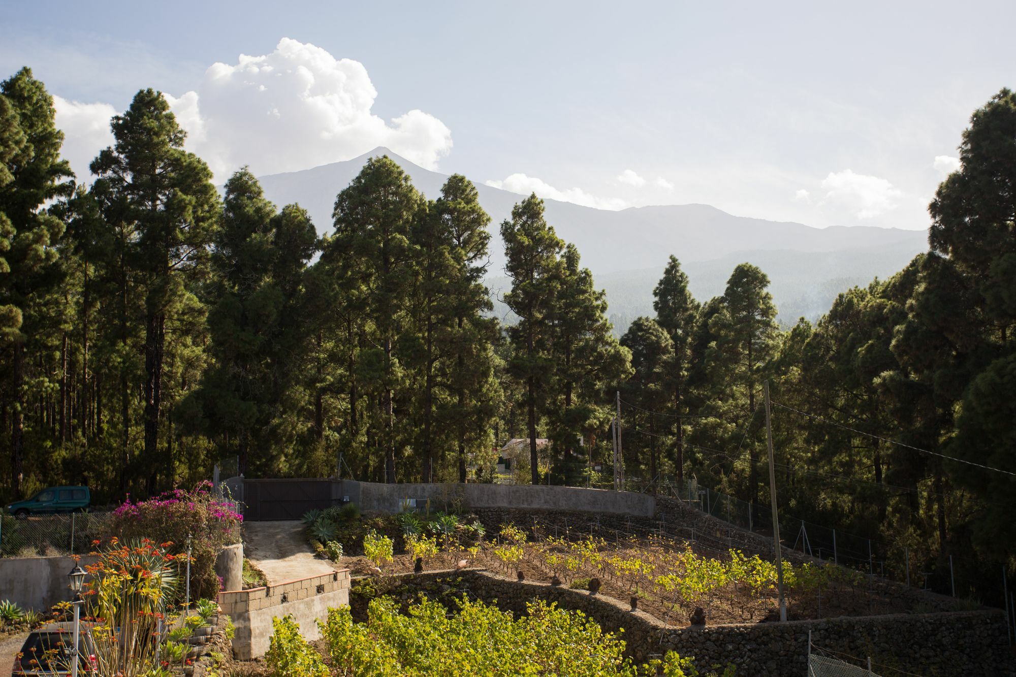 Finca Casa Yaya イコー・デ・ロス・ビノス エクステリア 写真