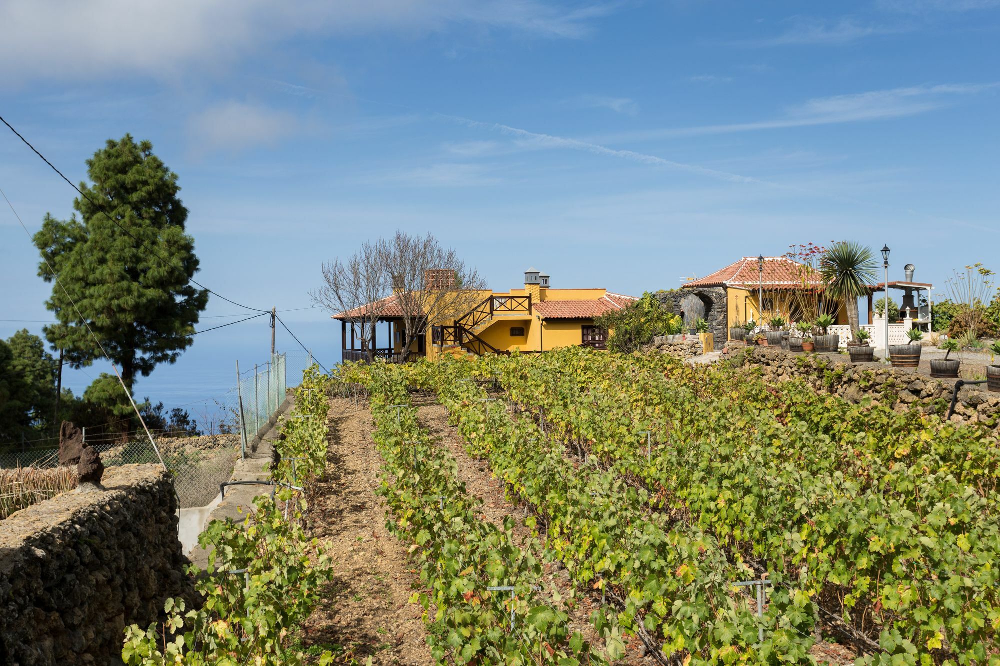 Finca Casa Yaya イコー・デ・ロス・ビノス エクステリア 写真